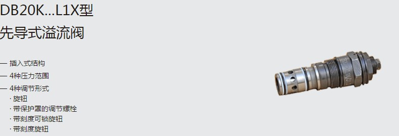 SHLIXIN上海立新DB20K...L1X型先導(dǎo)式溢流閥